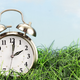 Illustration for article titled Spring is getting shorter every single year